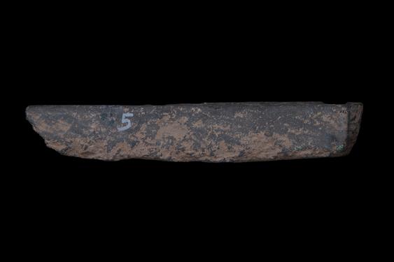 Image of Fantastic animal