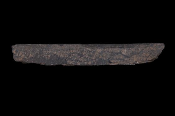 Image of Fantastic animal