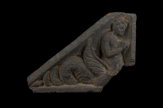 Image of Ichthyocentaur