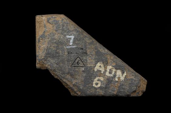 Image of Ichthyocentaur