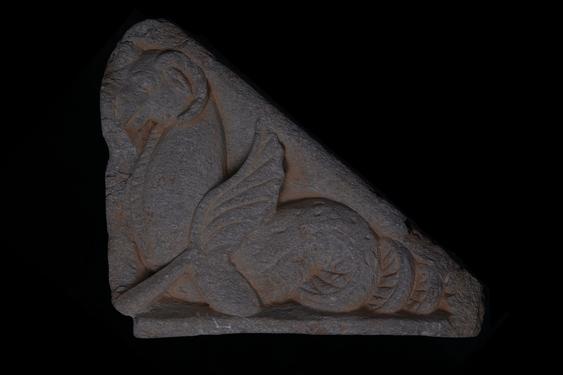 Image of Fantastic animal