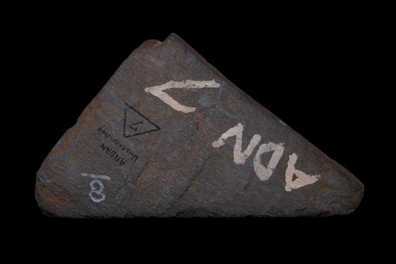 Image of Fantastic animal