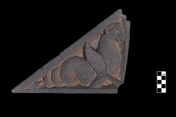 Image of Fantastic animal