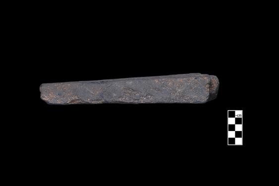 Image of Fantastic animal