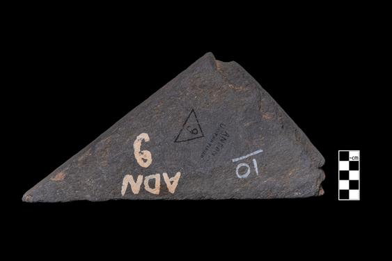 Image of Fantastic animal