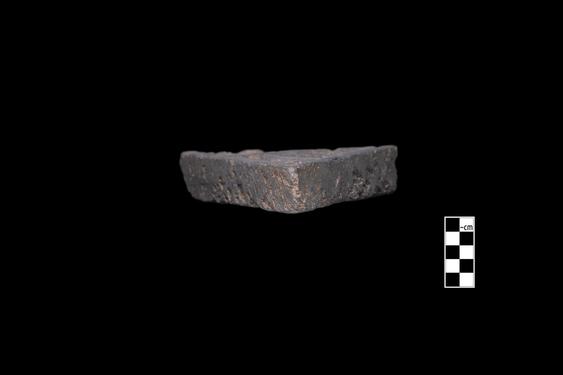 Image of Fantastic animal