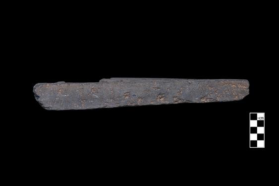 Image of Fantastic animal