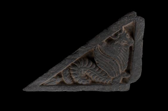 Image of Fantastic animal