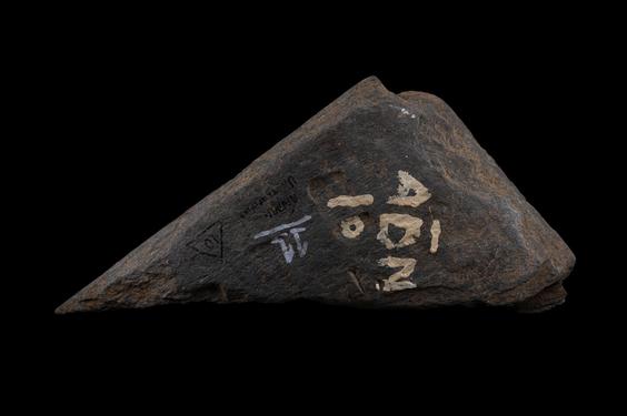 Image of Fantastic animal