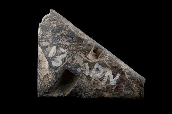 Image of Fantastic animal