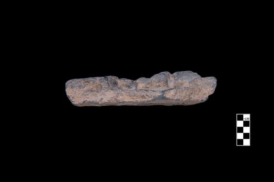 Image of Last Existence: ...