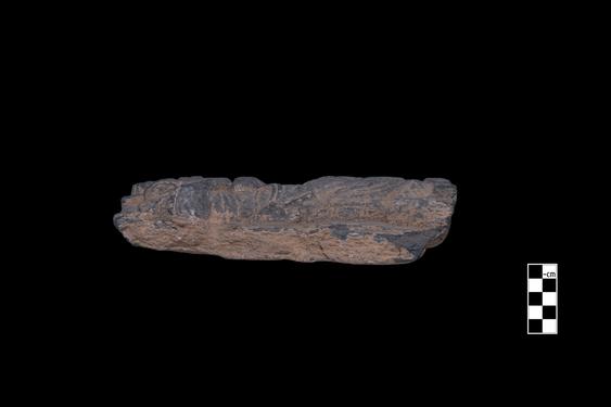 Image of Last Existence: ...