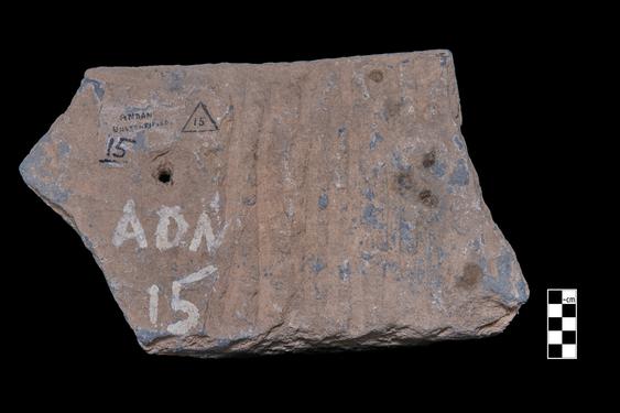 Image of Last Existence: ...