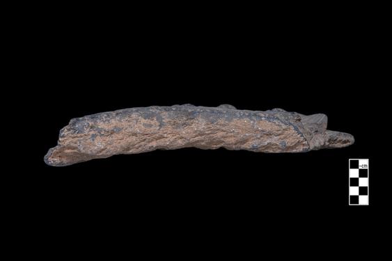 Image of Last Existence: ...