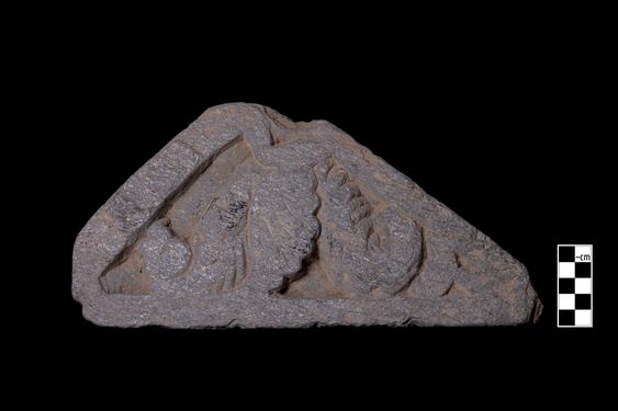 Image of Fantastic animal