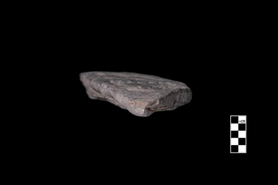 Image of Fantastic animal