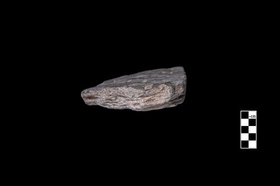 Image of Fantastic animal