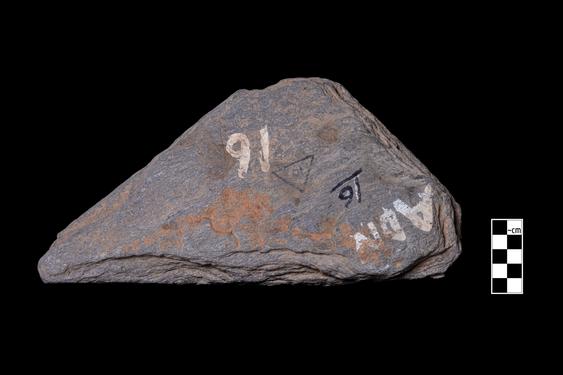 Image of Fantastic animal