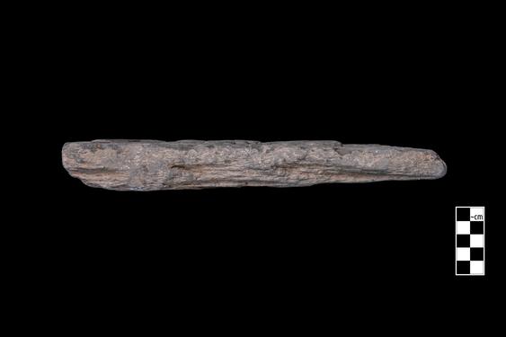 Image of Fantastic animal