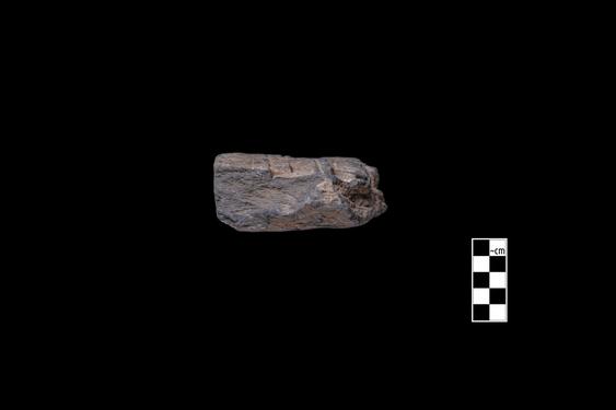 Image of Last Existence: Māyā’s dream