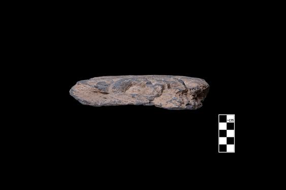 Image of Last Existence: Māyā’s dream