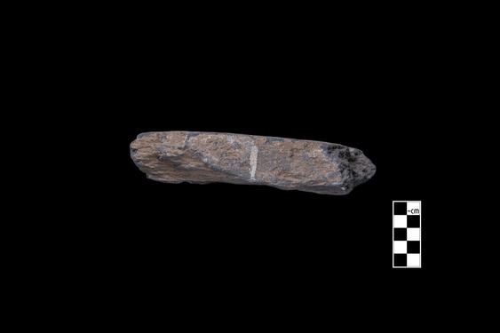 Image of Last Existence: Māyā’s dream