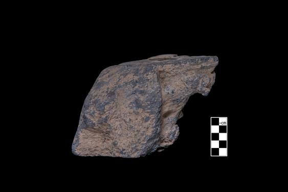 Image of Bodhisattva