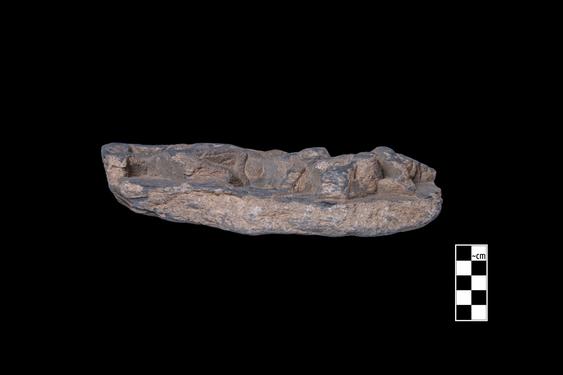 Image of Last Existence: Visit of the Ascetics