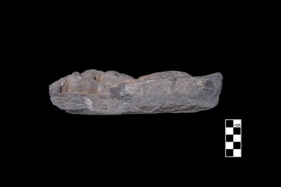 Image of Last Existence: Visit of the Ascetics