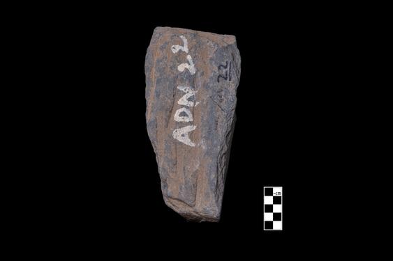 Image of Last Existence: Visit of the Ascetics