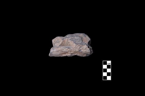 Image of Last Existence: Visit of the Ascetics