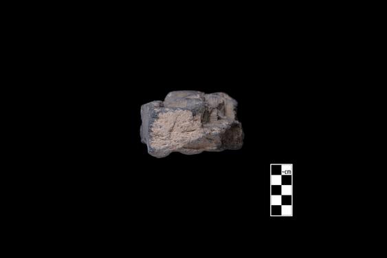 Image of Last Existence: Visit of the Ascetics