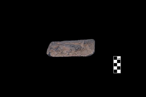 Image of Last Existence: Princely Life