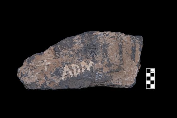 Image of Last Existence: Princely Life