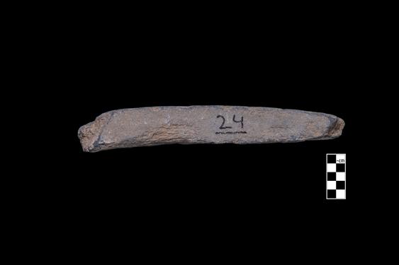 Image of Last Existence: Princely Life