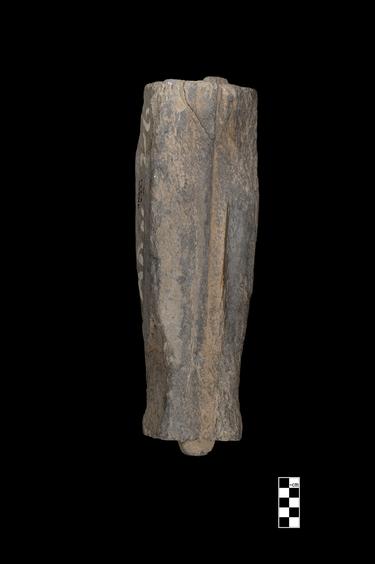 Image of Semi-column of the Gandharan-Corinthian type