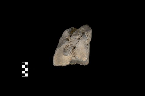 Image of Semi-column of the Gandharan-Corinthian type