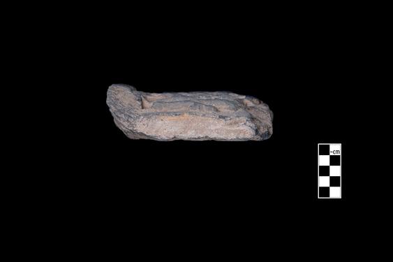 Image of Last Existence: Visit of the Ascetics