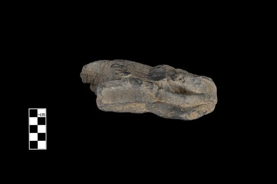 Image of Last Existence: ...