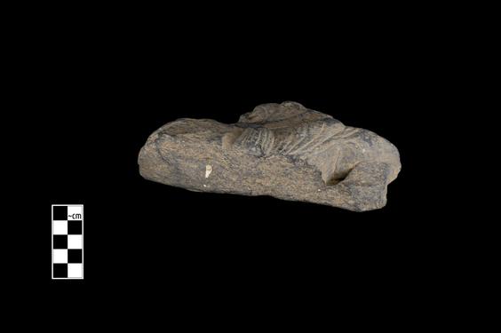 Image of Last Existence: ...