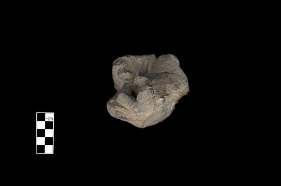 Image of Last Existence: ...