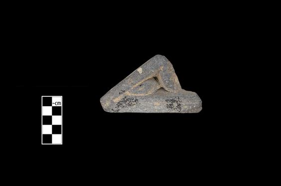 Image of Fantastic animal