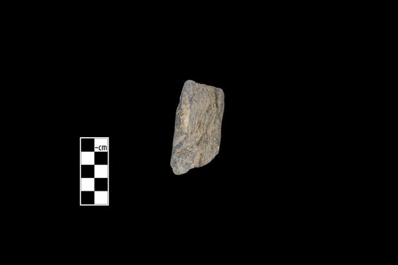 Image of Fantastic animal