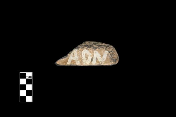 Image of Fantastic animal