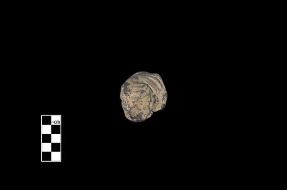 Image of Male figure