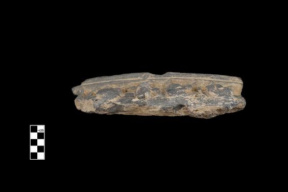 Image of Last Existence: Visit of the Ascetics