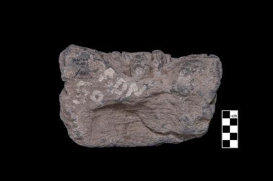 Image of Male figure