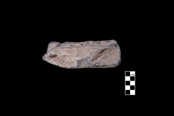 Image of Male devotee