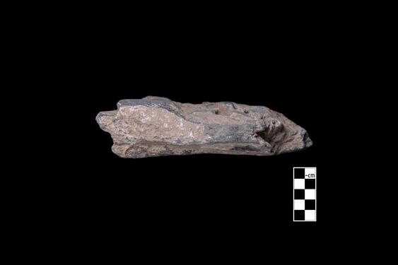 Image of Male devotee