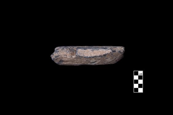 Image of Female figure